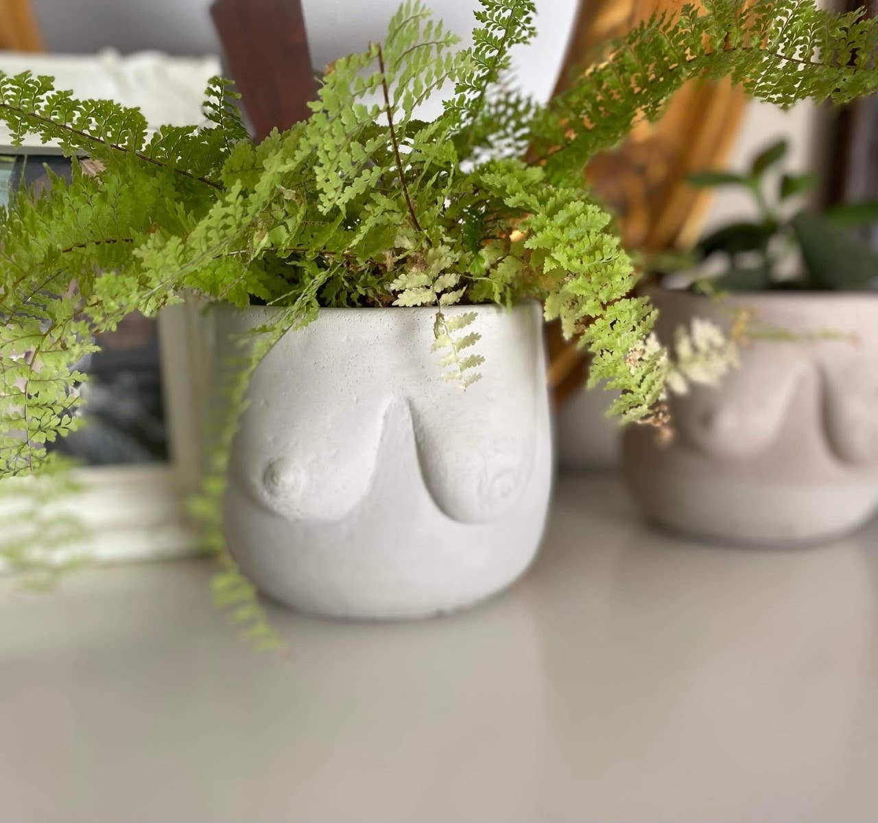White Boob planter I Concrete boob pot for wholesale on Faire