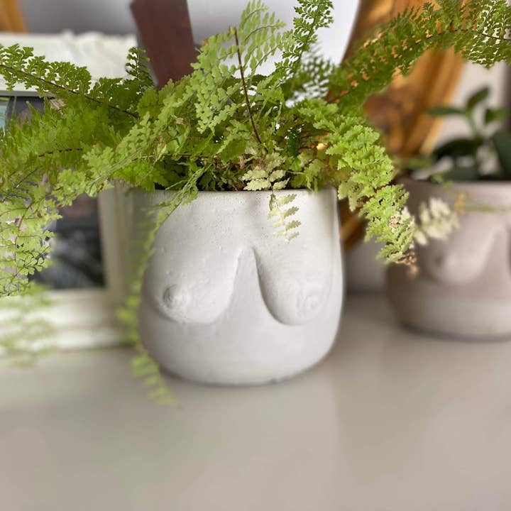 White Boob planter I Concrete boob pot for wholesale on Faire0