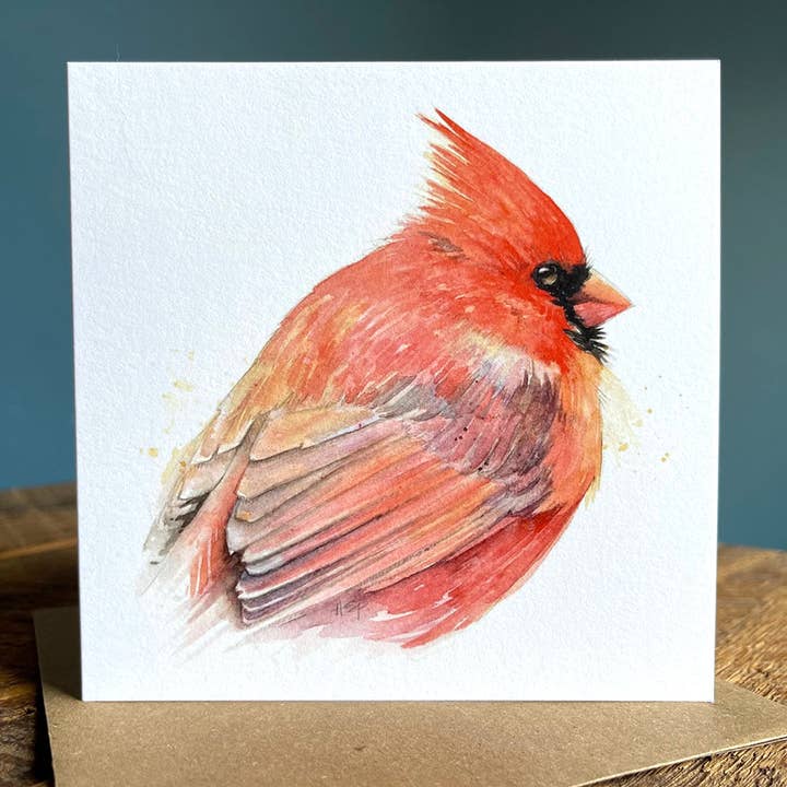 Northern Cardinal (Portrait) - Blank Note Card for wholesale by Amy Shawley Paquette