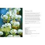 Gibbs Smith - Wholesale Home & Garden - Lilies: Beautiful Varieties for Home & Garden2