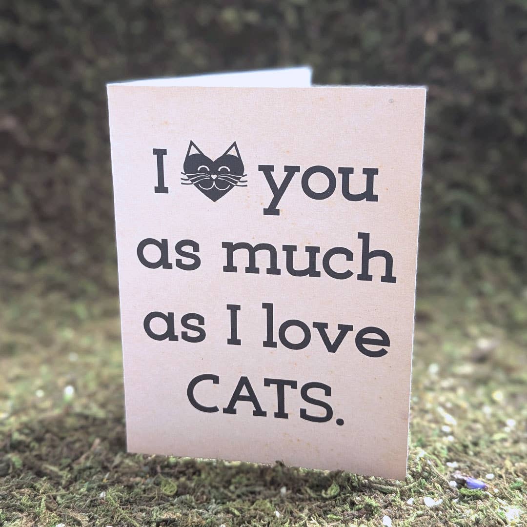 LisetteArt Shop - Wholesale Everyday Greeting Card - Cat Greeting Cards - Cute, Punny Mix & Match, Eco-Friendly1