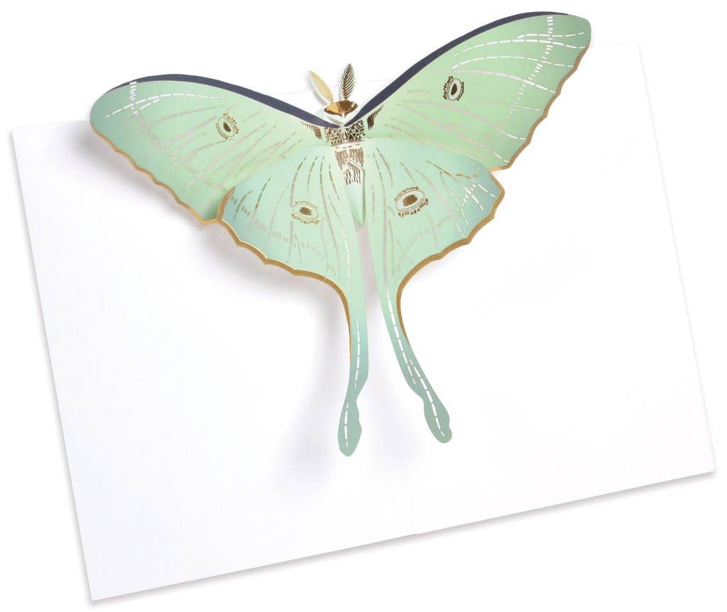 Purchase Wholesale Luna Moth Free Returns Net 60 Terms On Faire Com