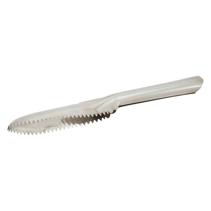 EcoQuality - Wholesale Kitchen tool/gadget - FSP-9, Stainless Steel Fish Scaler, EA