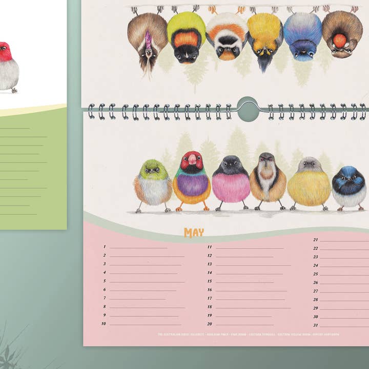 Beast of Paradise - Wholesale Calendar - Birthday Calendar, Perpetual Calendar, Bird Calendar, Animal4