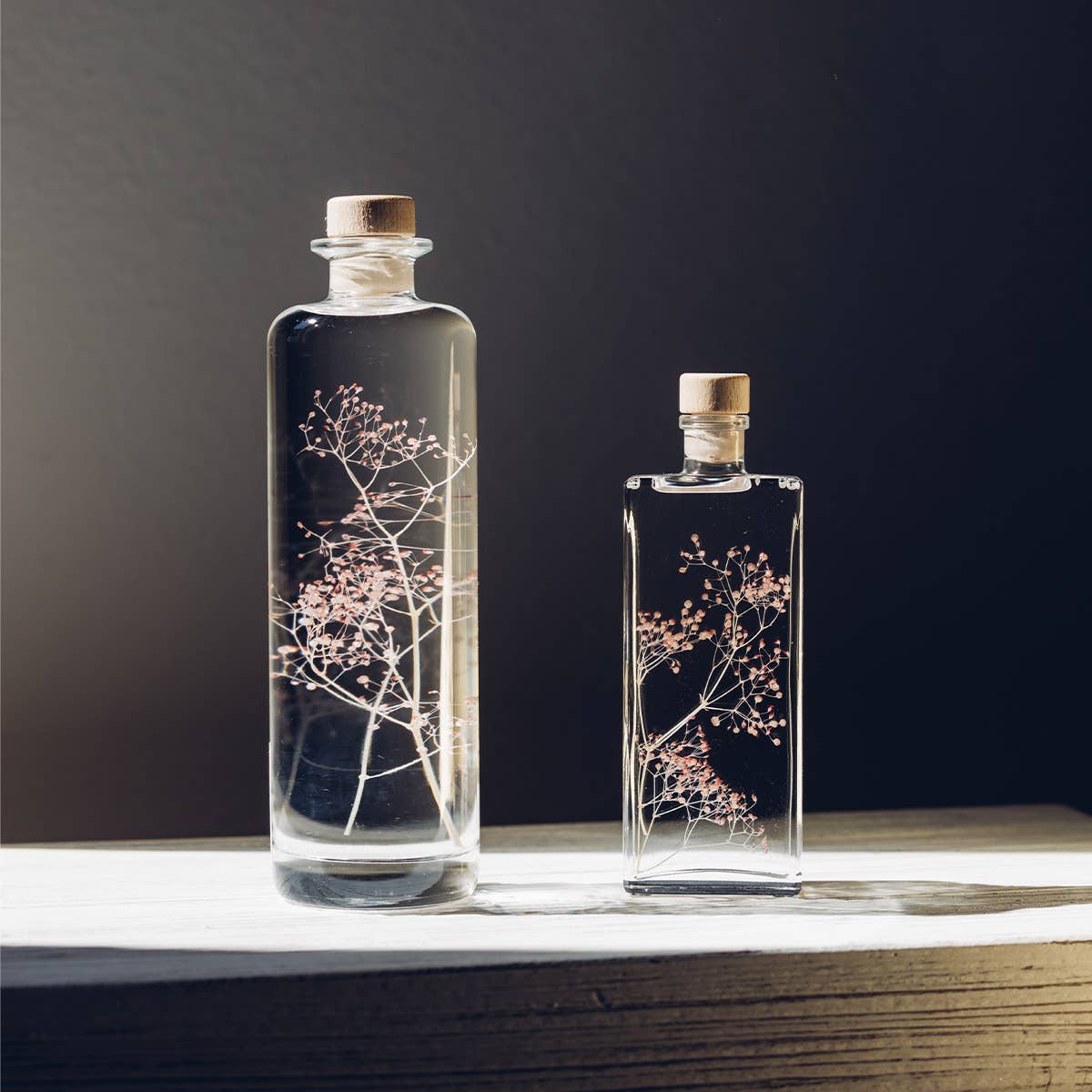 Theophile Berthon - Vente Plante - L'Herbarium Gypsophile rose - plante immergée9