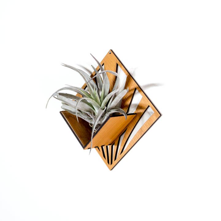 LIGHT RAZOR DESIGN STUDIO - Wholesale Wall planter - Air Plant Holder / Quadrate Wall Hanging Planter 259