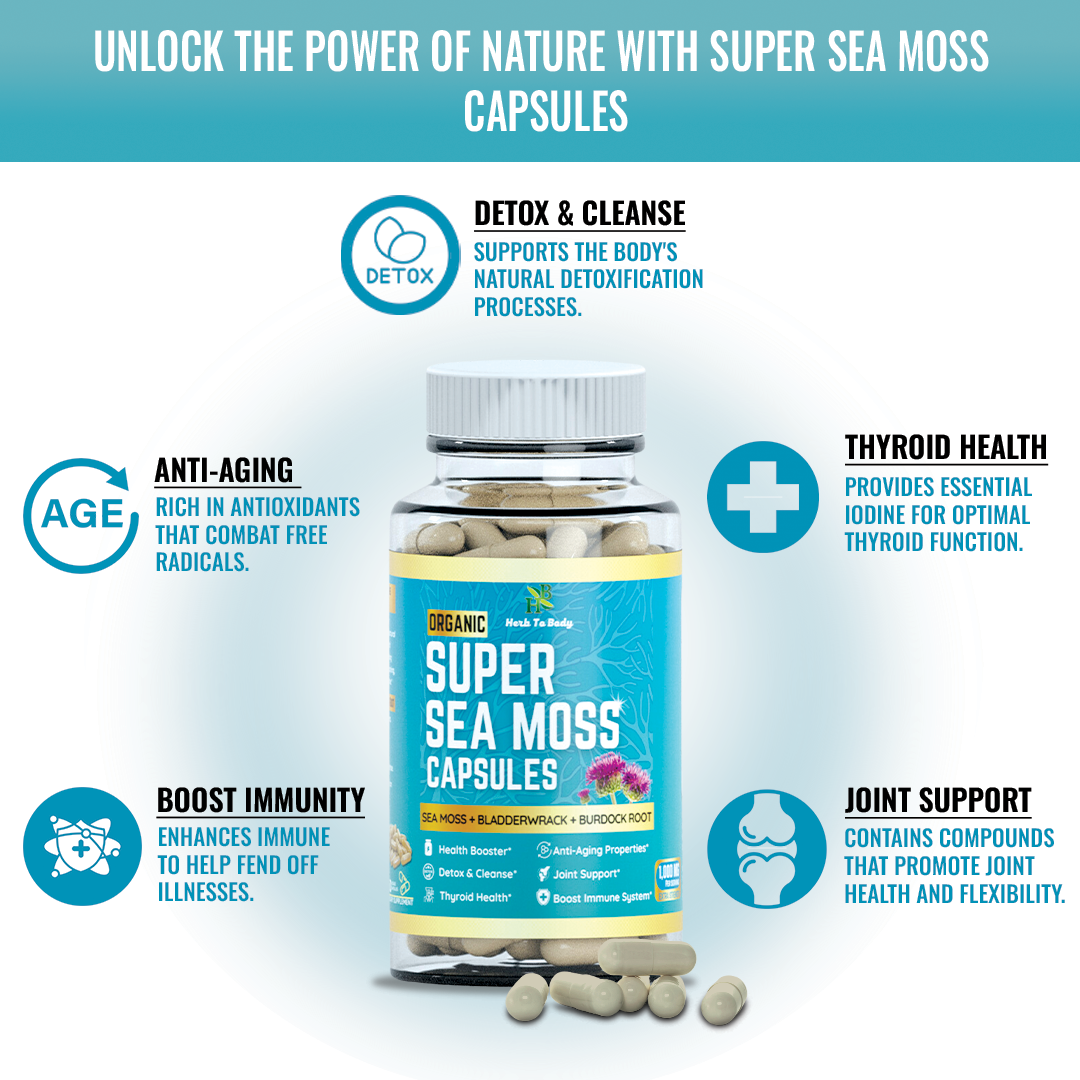 Herb To Body - Wholesale Oral Supplement/Vitamin - Organic Super Sea Moss Capsules (60 Veg Capsules) 4