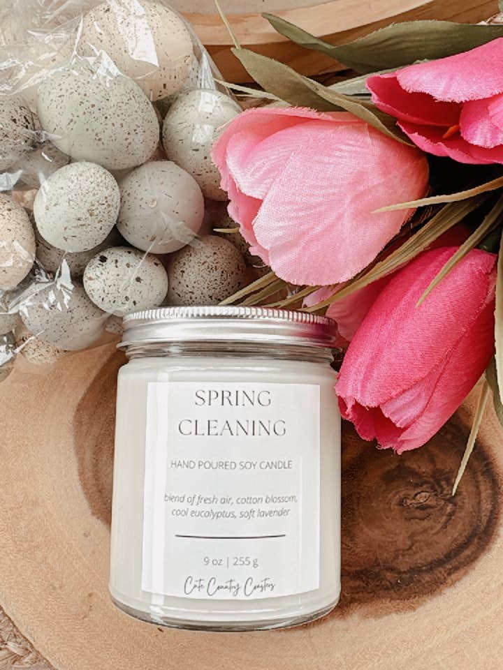 Spring Cleaning for wholesale by Cute Country Coasters, LLC