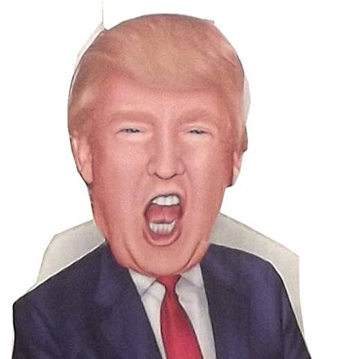 AAHS Enterprises - Wholesale Decorative Figurine - Caricature Standup - Donald Trump Mini - (16 inches)0