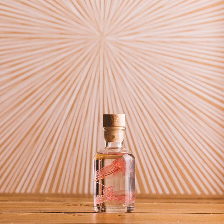 Theophile Berthon - Wholesale Live Plant - L'Herbarium Hortensia rose - Submerged flower1