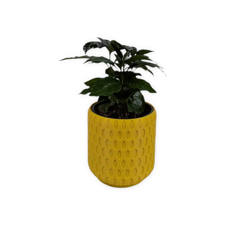 Leafprints.3d - Wholesale Plant Pot - The Bud - 4 Inch Planter with Drip Tray5