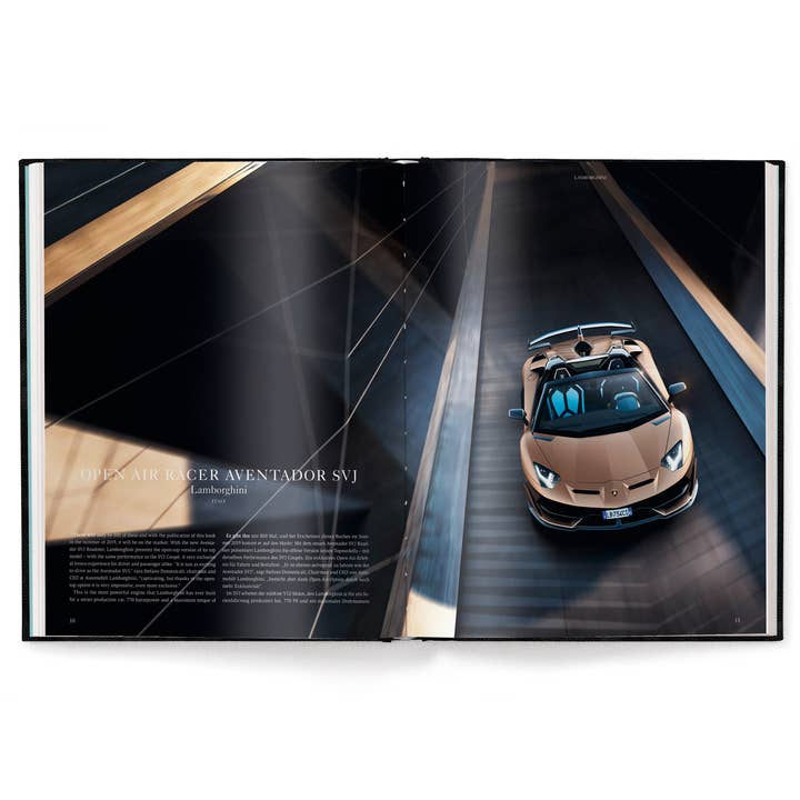 gestalten & teNeues - Wholesale Display Book - Ultimate Toys for Men2