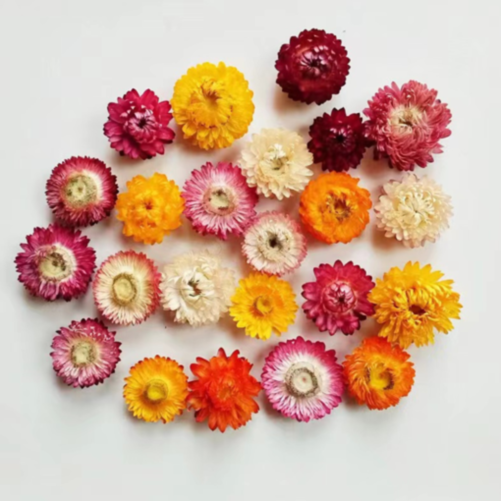 Drink Botanicals Ireland - Wholesale Dried/Pressed Flowers - Dried Edible Mixed Flowers5