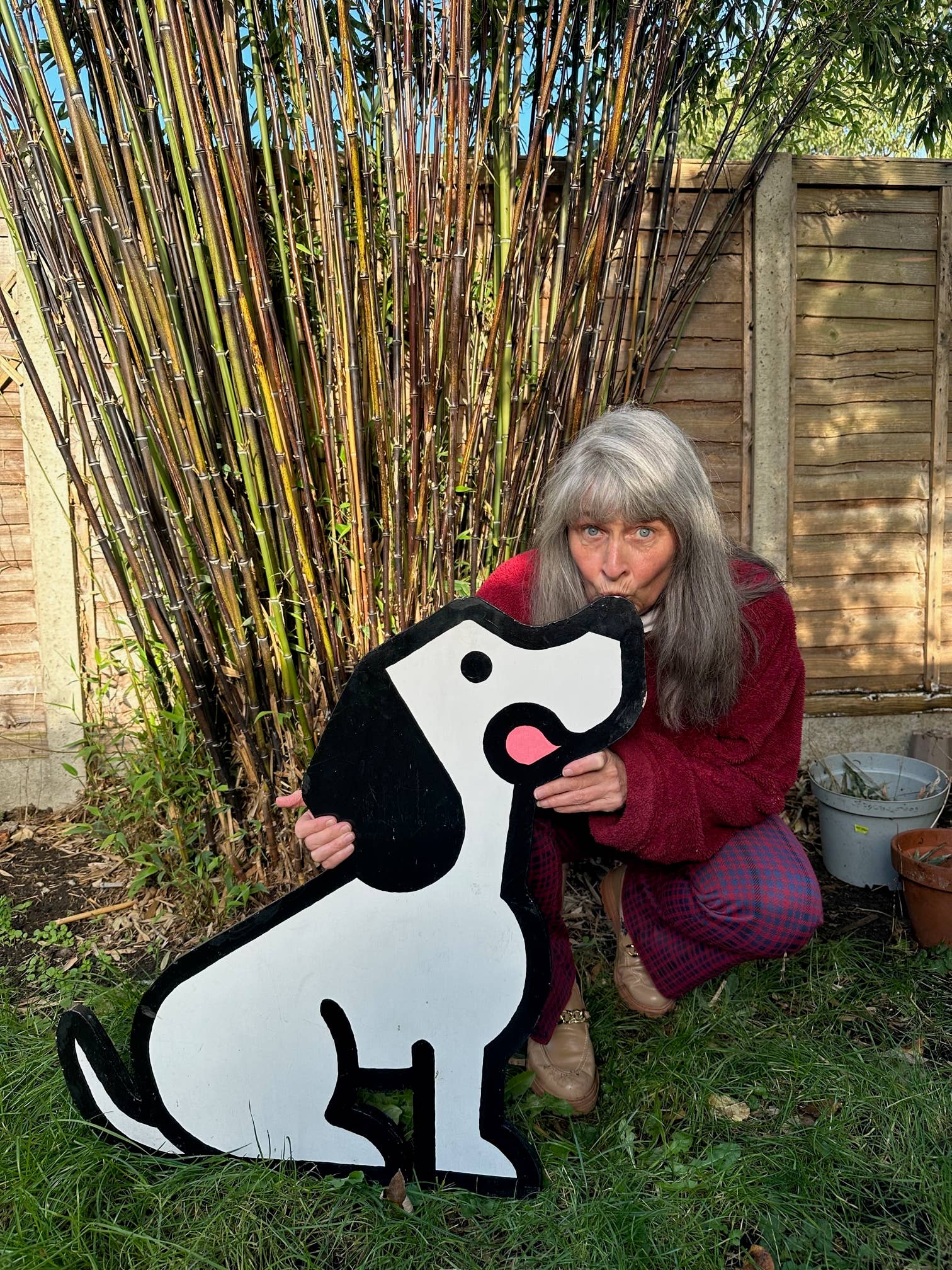 BrewBix – wholesale Pet treats – Dog – 3kg BrewBix Peanut Butter Dog biscuits TRIAL bulk box 9