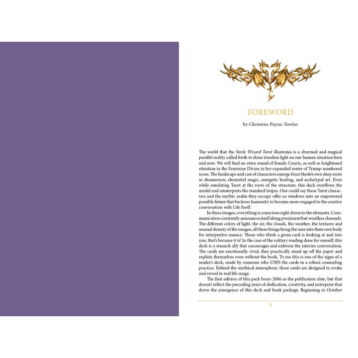 REDFeather - Vendita all'ingrosso Tarocchi - Tarocchi Steele Wizard: il linguaggio dell'anima3