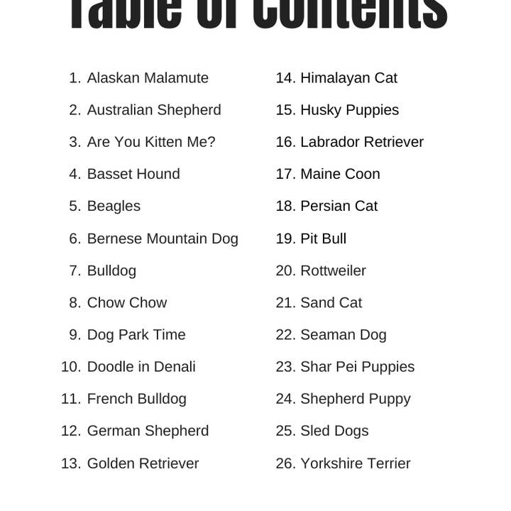 Alaska Wild & Free - Wholesale Coloring Book - Adult - Furry Friends: Cat & Dog Coloring Book