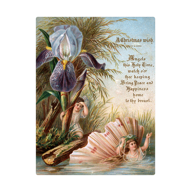 Laughing Elephant - Wholesale Postcard - We Wish You a Crazy Christmas Postcard Book -  Postcards19