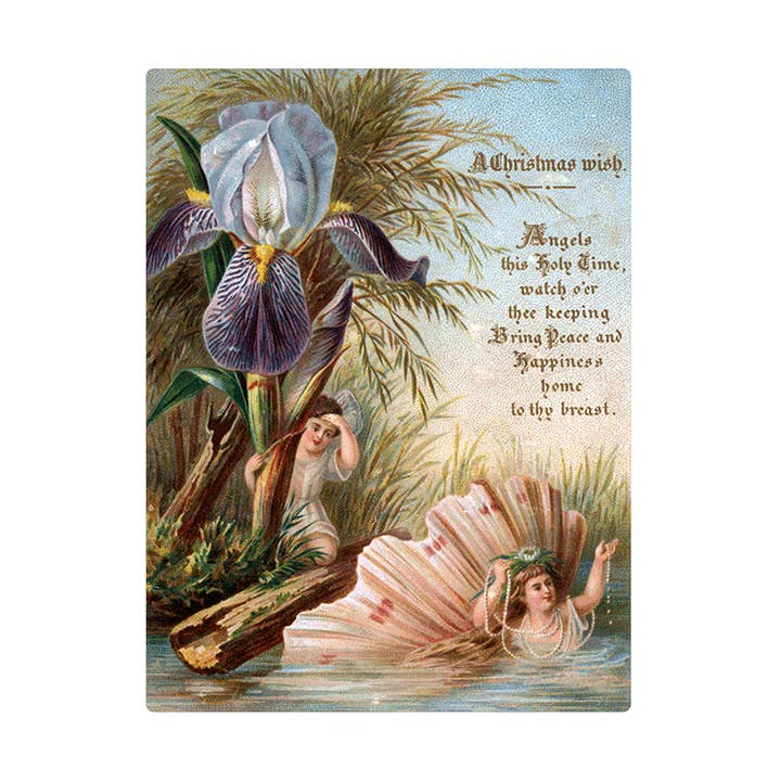 Laughing Elephant - Wholesale Postcard - We Wish You a Crazy Christmas Postcard Book - Postcards19