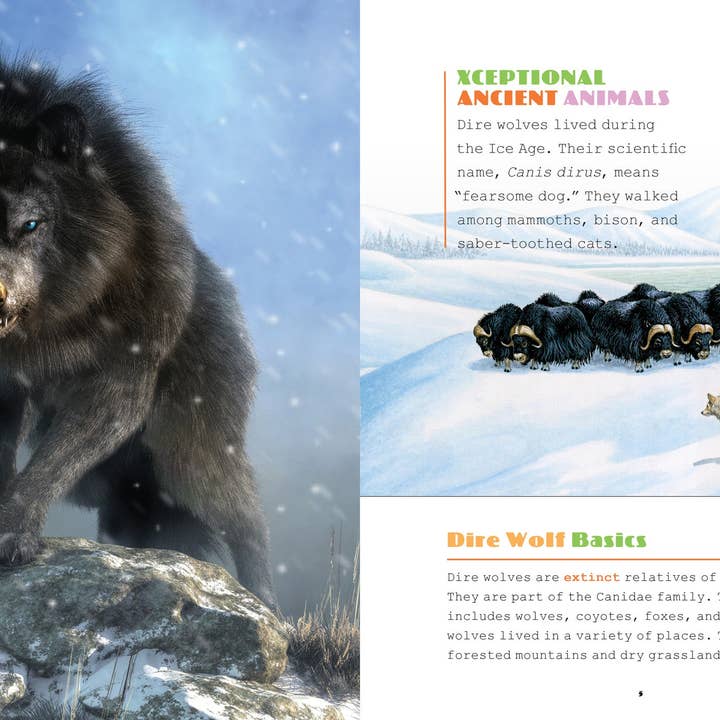The Creative Company - Wholesale Nature & Outdoors - Dire Wolves1