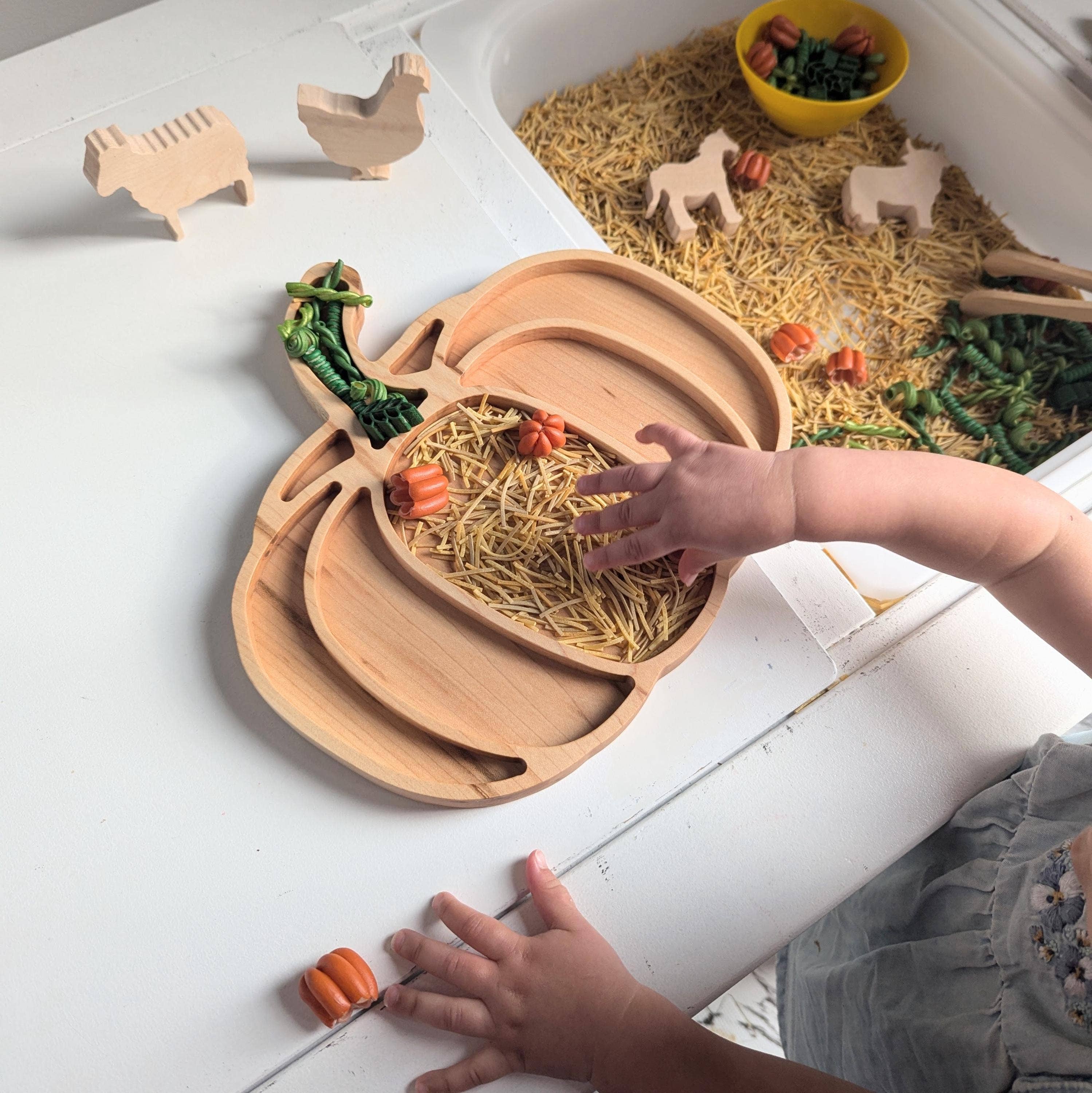 Carved Together Co - Wholesale Wood Toy - Kids - Pumpkin Sensory Play Tray - Large2