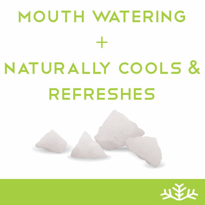 SNØ - Wholesale Hard Candy - Spearmint Sugar Free Candy - Keto & Vegan | 6 Tins6