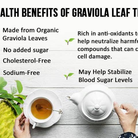 Herbal Goodness – Großhandel Teebeutel – Soursop-Blatttee — Graviola-Extrakt — Bio-Teebeutel 24/1 g — Zellimmunität und Entspannung — Kräuterkosmetik6