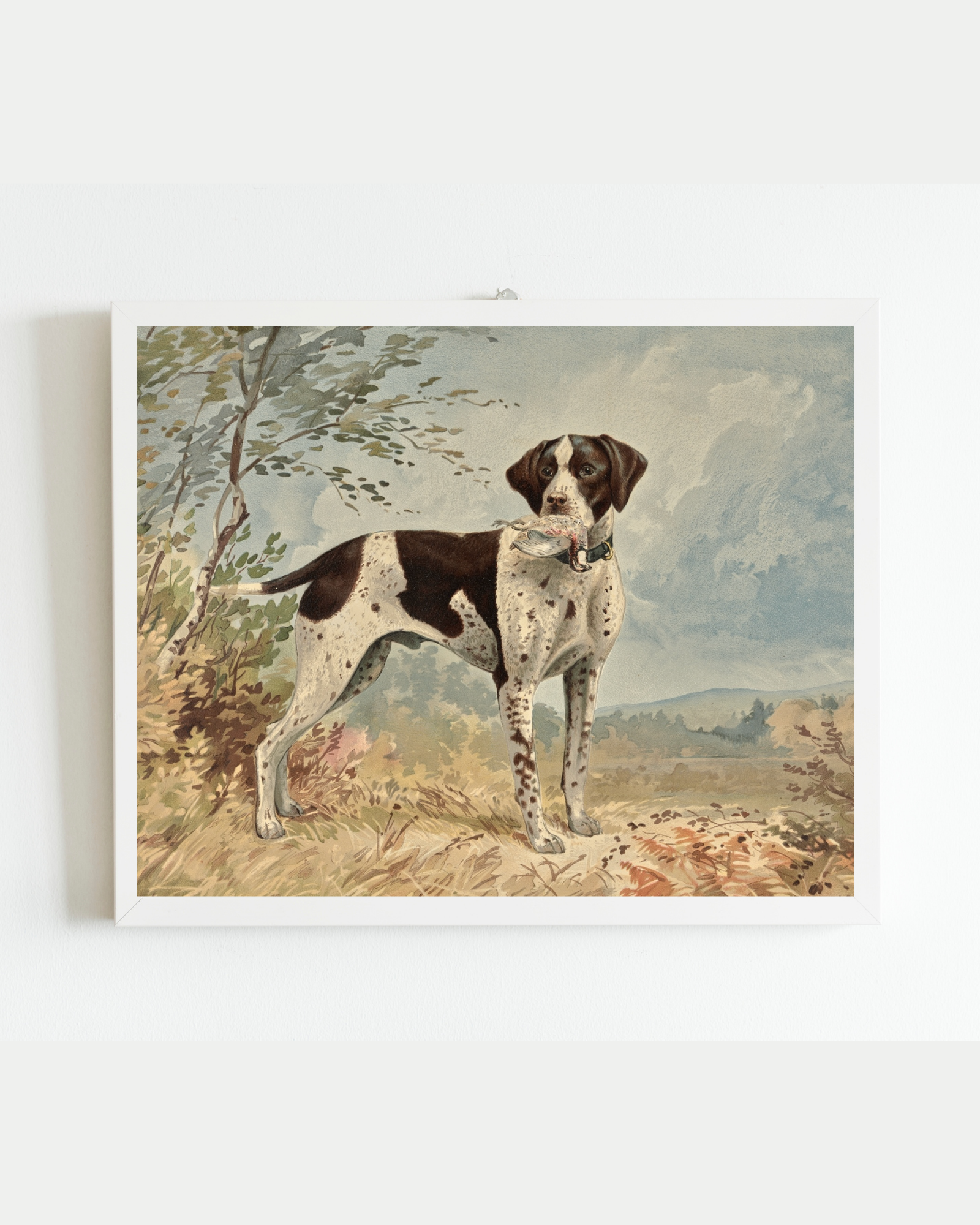 Sea to Skye - Wholesale Art Print - Standing English Pointer Antique Art Print4