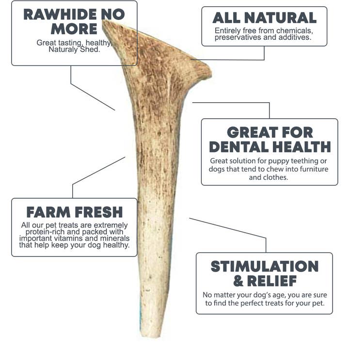 Hotspot Pets - Wholesale Pet treats – Dog - X-Large Whole All Natural Elk Antlers Dog ChewTreats,2 Count1