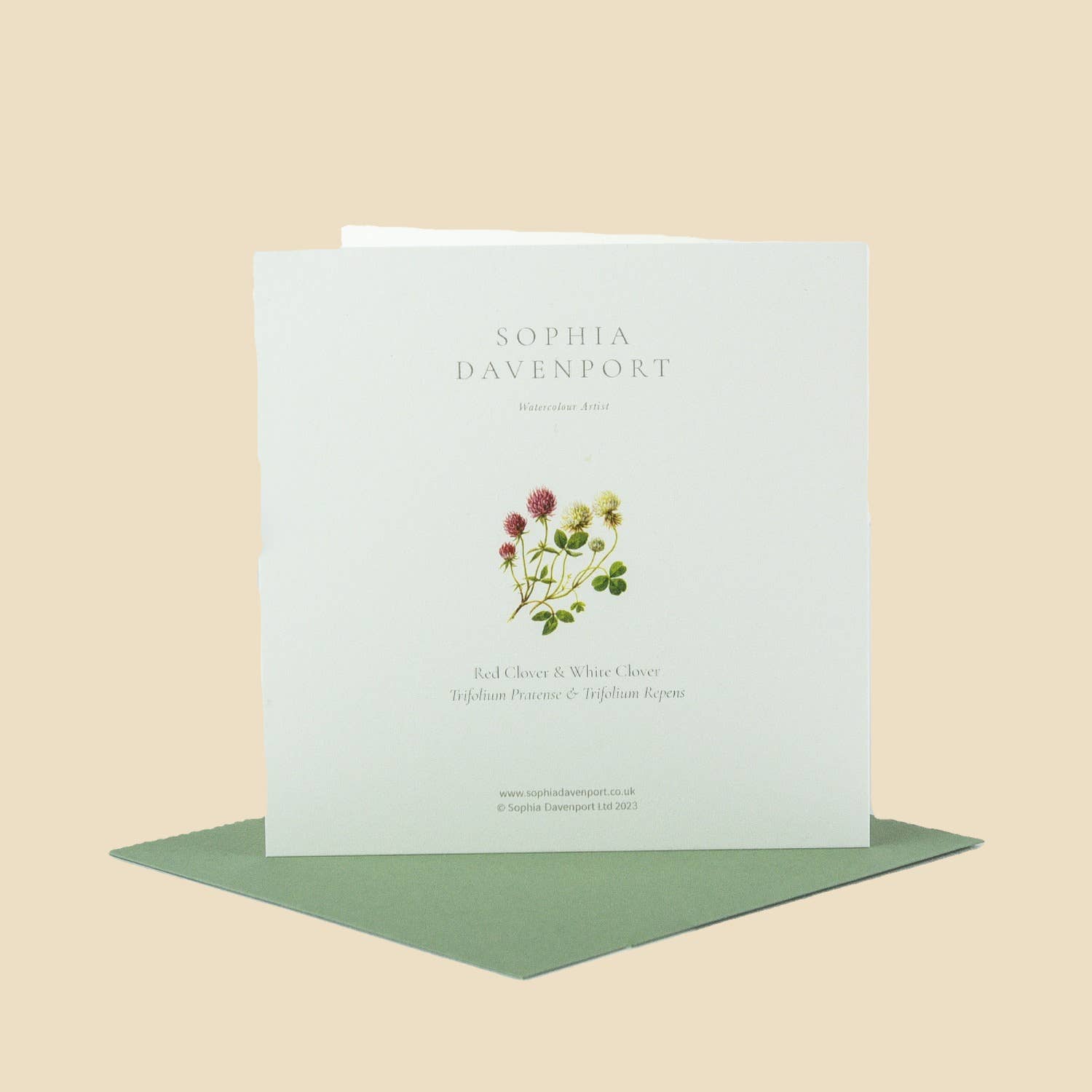 Sophia Davenport - Wholesale Everyday Greeting Card - Wildflower Greeting Cards and Notelets5
