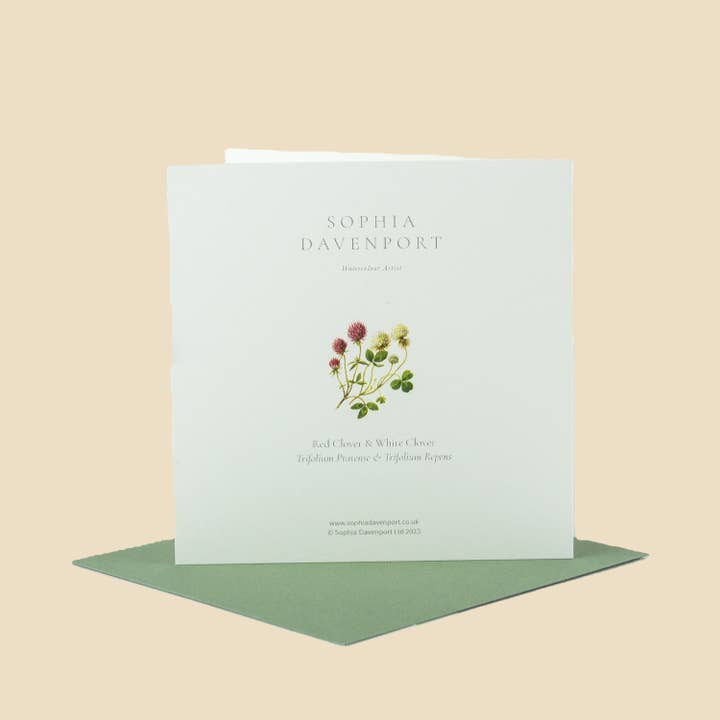 Sophia Davenport - Wholesale Everyday Greeting Card - Wildflower Greeting Cards and Notelets5