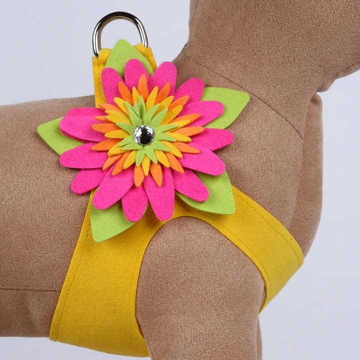 Inselblume Step-In-Geschirr für den Großhandel von Susan Lanci Designs