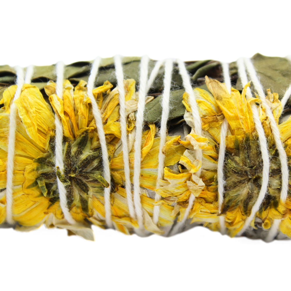 Green Tree - Wholesale Sage Bundle - Sunflower Sage 10cm1