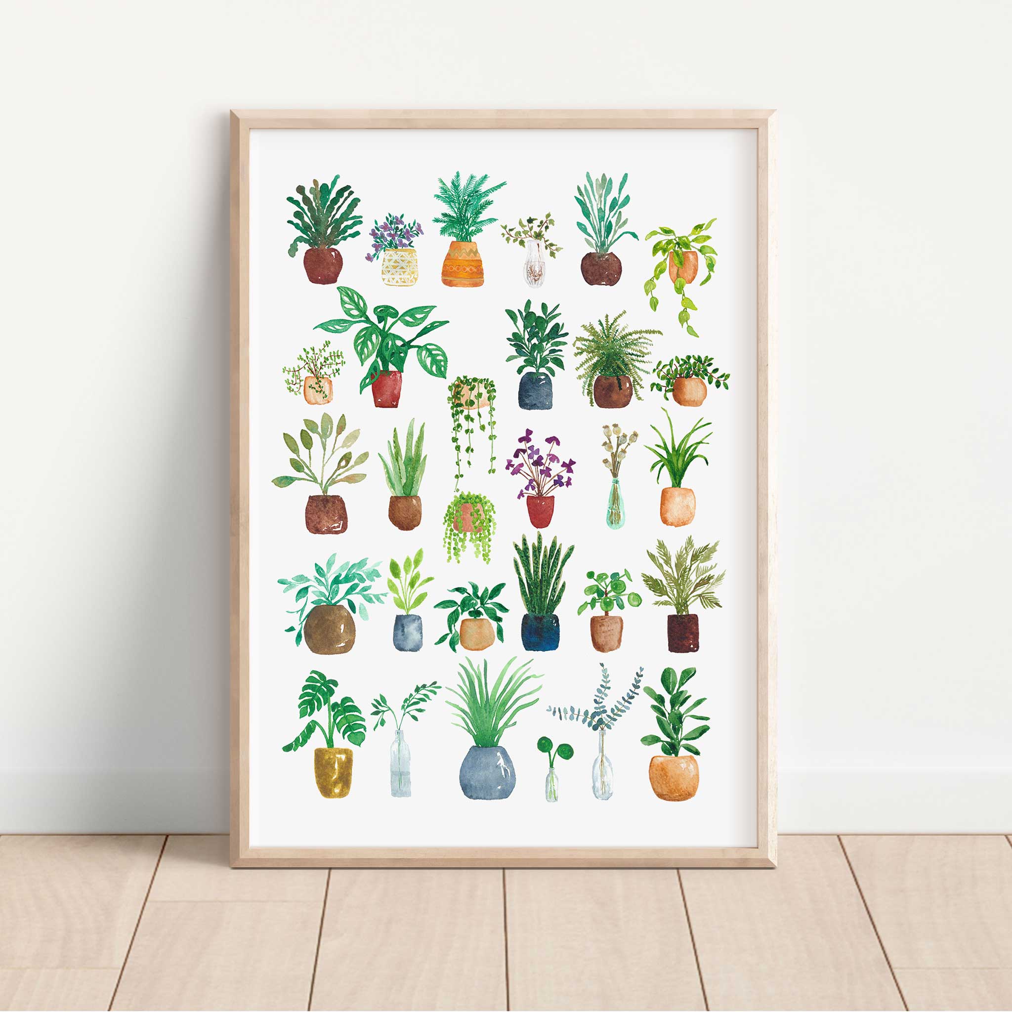 Jenny Vellacott - Wholesale Art Print - House Plant Print for Plant Lover Print of Plants Green2