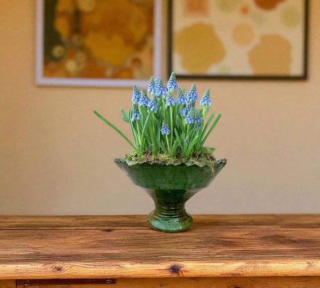 Moroccantastics - Wholesale Decorative Plate/Dish/Bowl - Tamegroute Green Fruit Bowl or Planter – Handmade Moroccan Pottery1