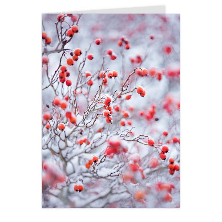 Tarjeta plegable "Espino en la nieve" para venta al por mayor de paruspaper. nutzfeine papeterie