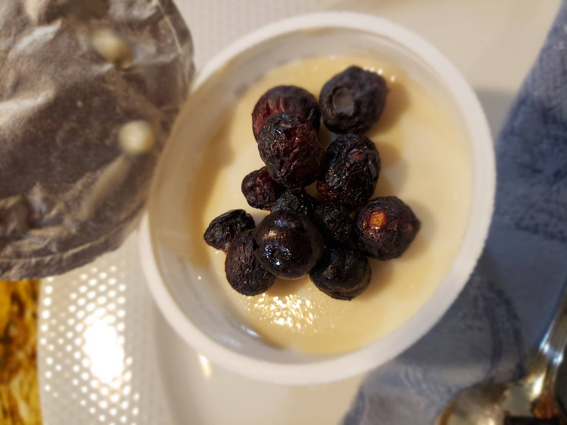 Wellness Croft - Wholesale Dried/Dehydrated Fruit - Freeze-dried Northeast Grown Wild Blueberry Pouch3