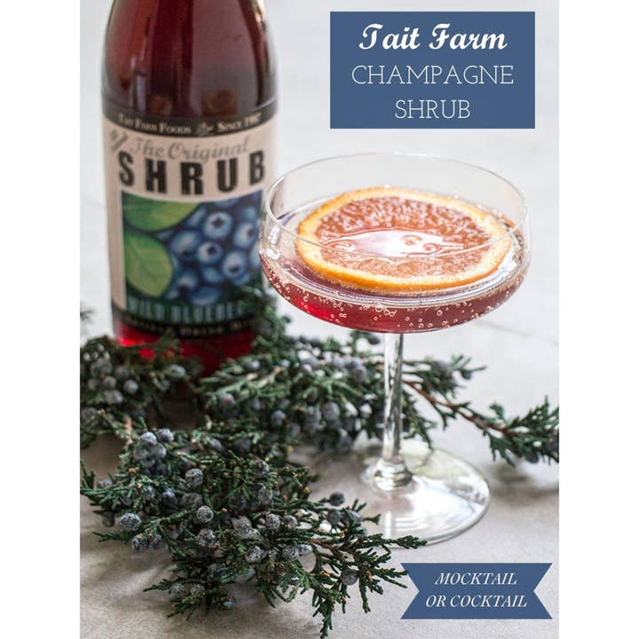 Tait Farm Foods - Wholesale Soda/Carbonated Drink - Wild Blueberry Shrub3