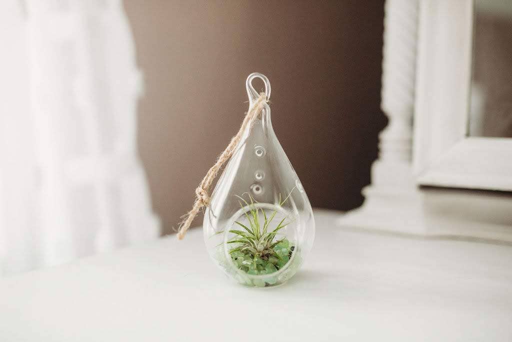 The Simply Crafty Shop - Wholesale Terrarium - Pear Shape Terrarium Kit- Semi-Precious Stone30