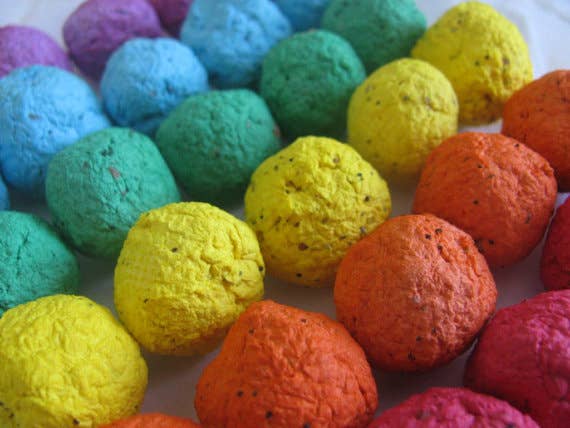Plantables and Paper - Wholesale Plant Seeds - BULK Wildflower Seed Balls4