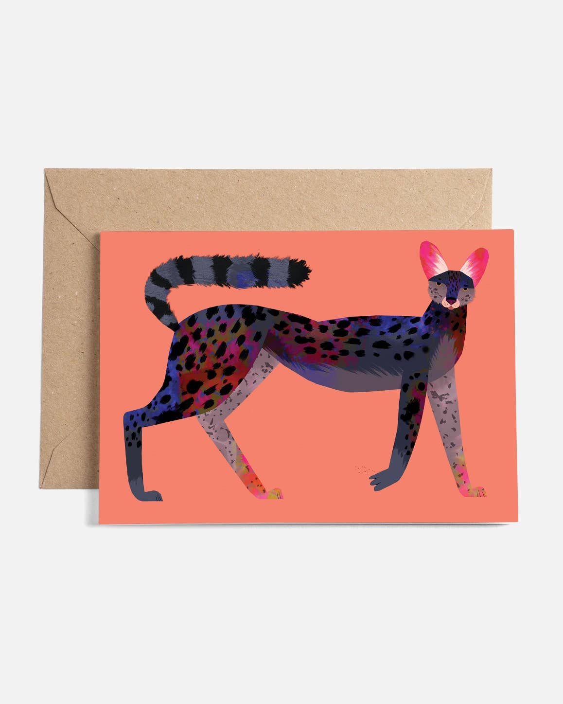 Sunny Beast - Wholesale Everyday Greeting Card - Creatures | Greeting Card Set6