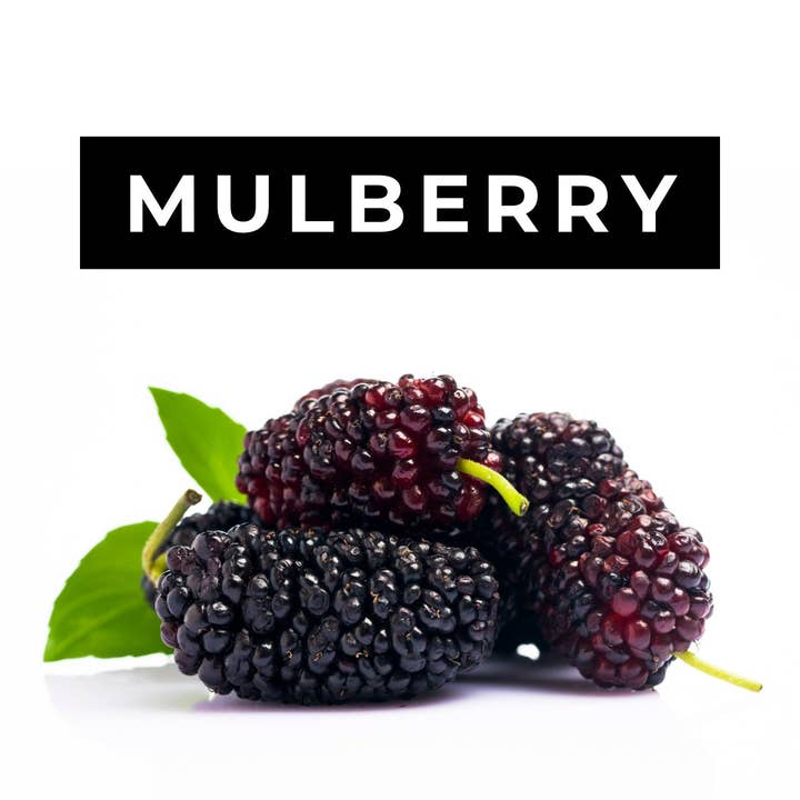 Mulberry Candle for wholesale by ELM Candle Bar