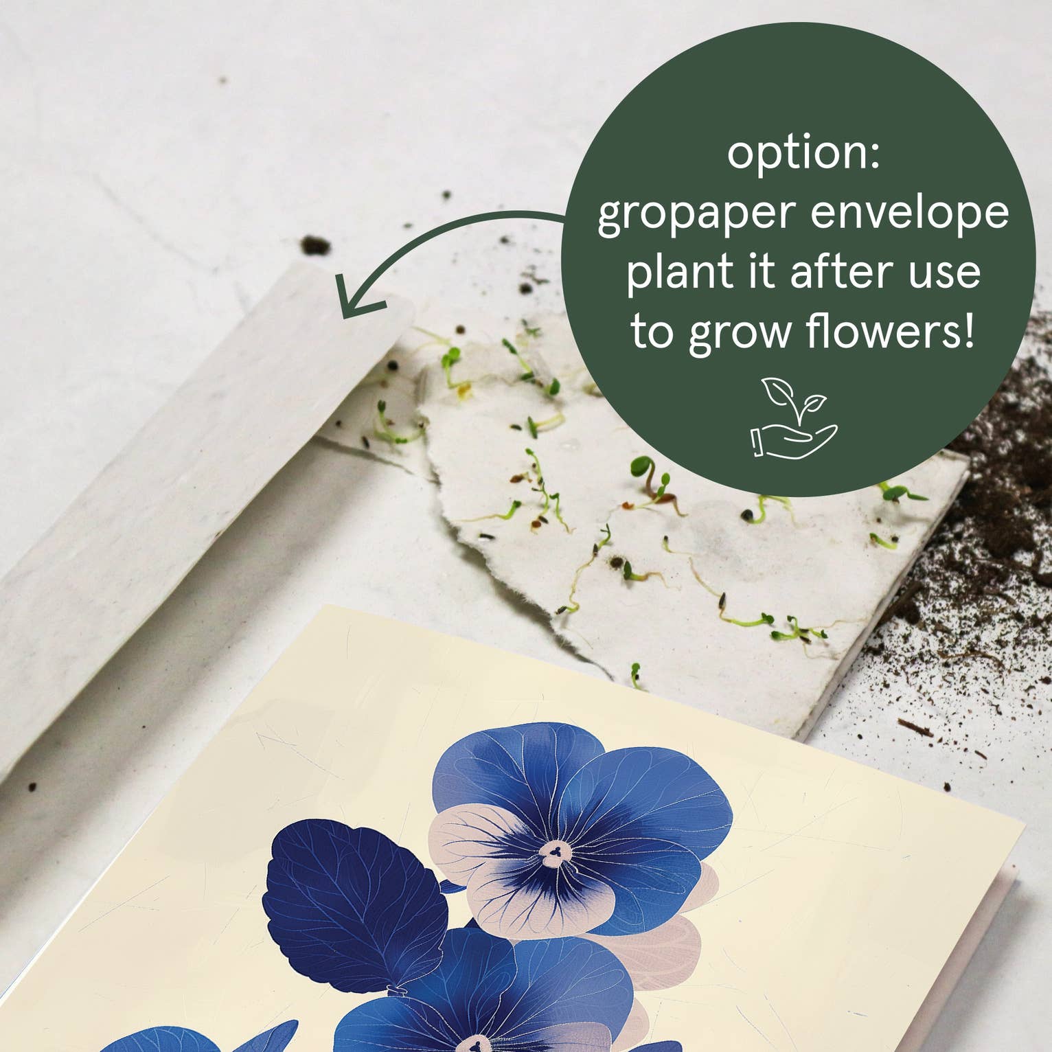 Botanopia - gifts , decor and cards for plant lovers - Wholesale Birthday Card - Viola | Everyday Greeting Card | birth month flower birthday7