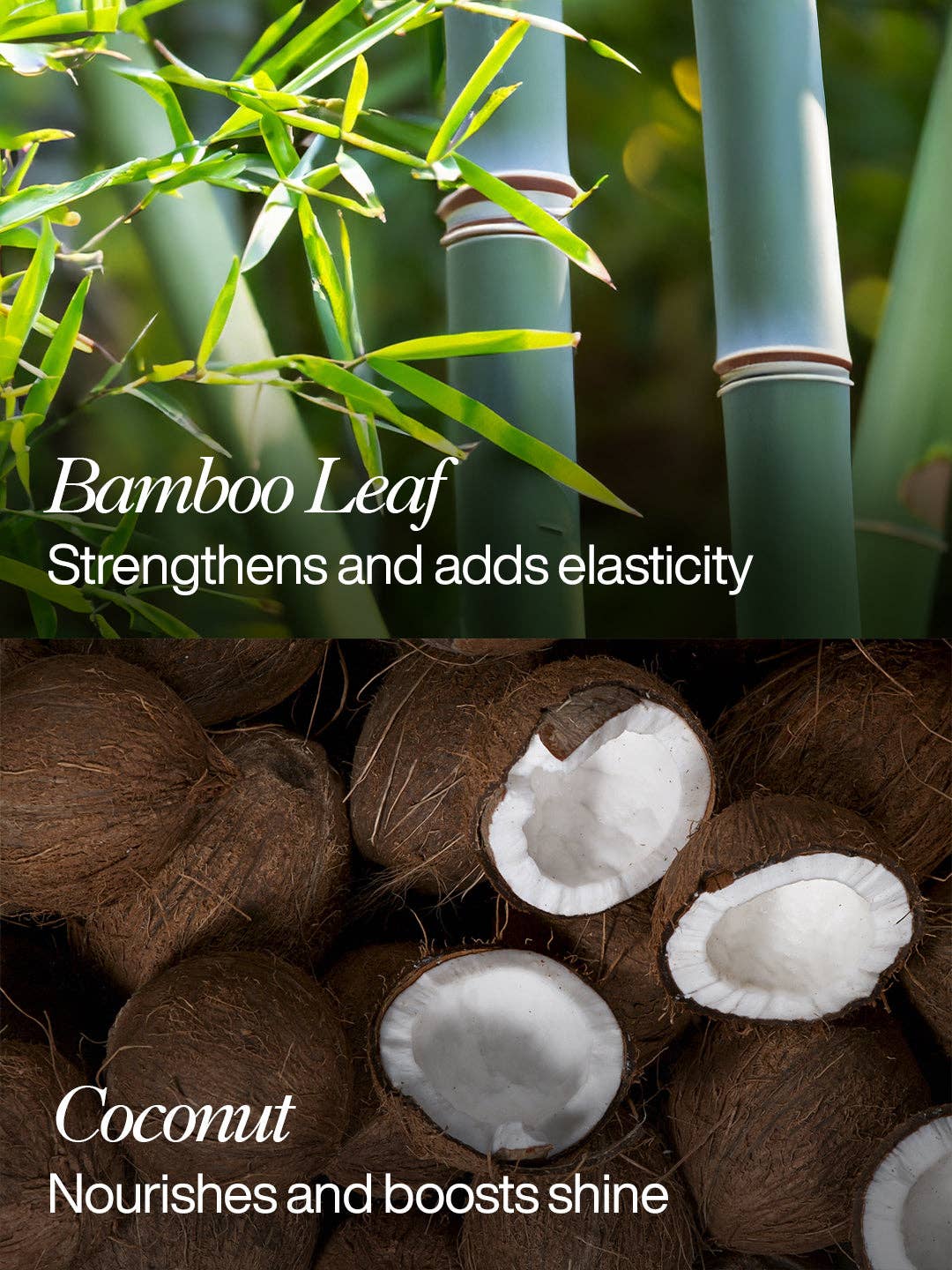 Organic Works – wholesale Hair conditioner – Moisture & Repair Conditioner with Argan Oil (3 Pack)2