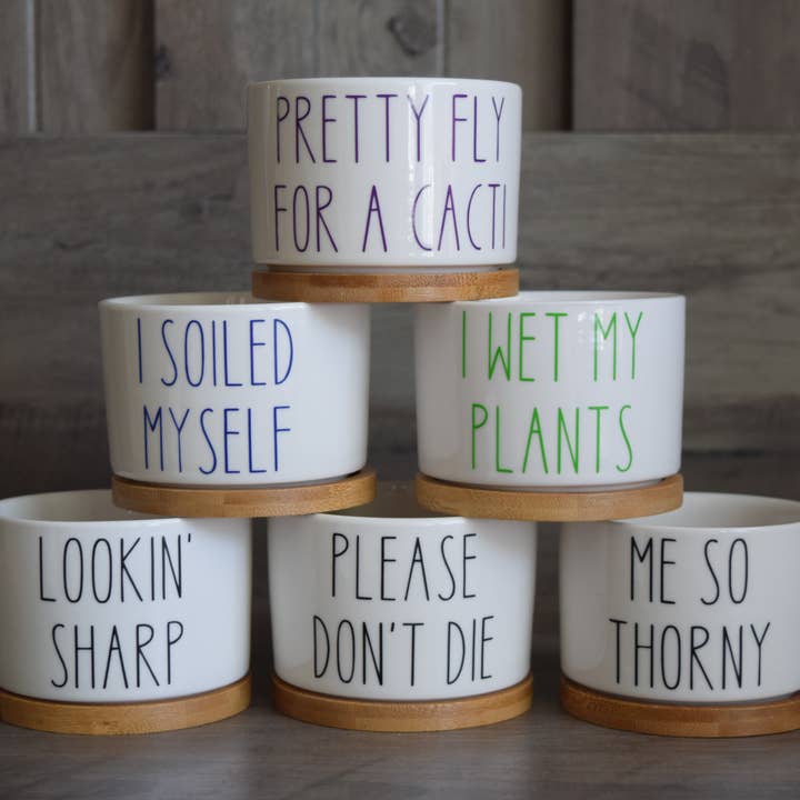 Vulpine Vinyls - Wholesale Plant Pot - I Wet My Plants Funny Succulent Pot, Multiple Sayings