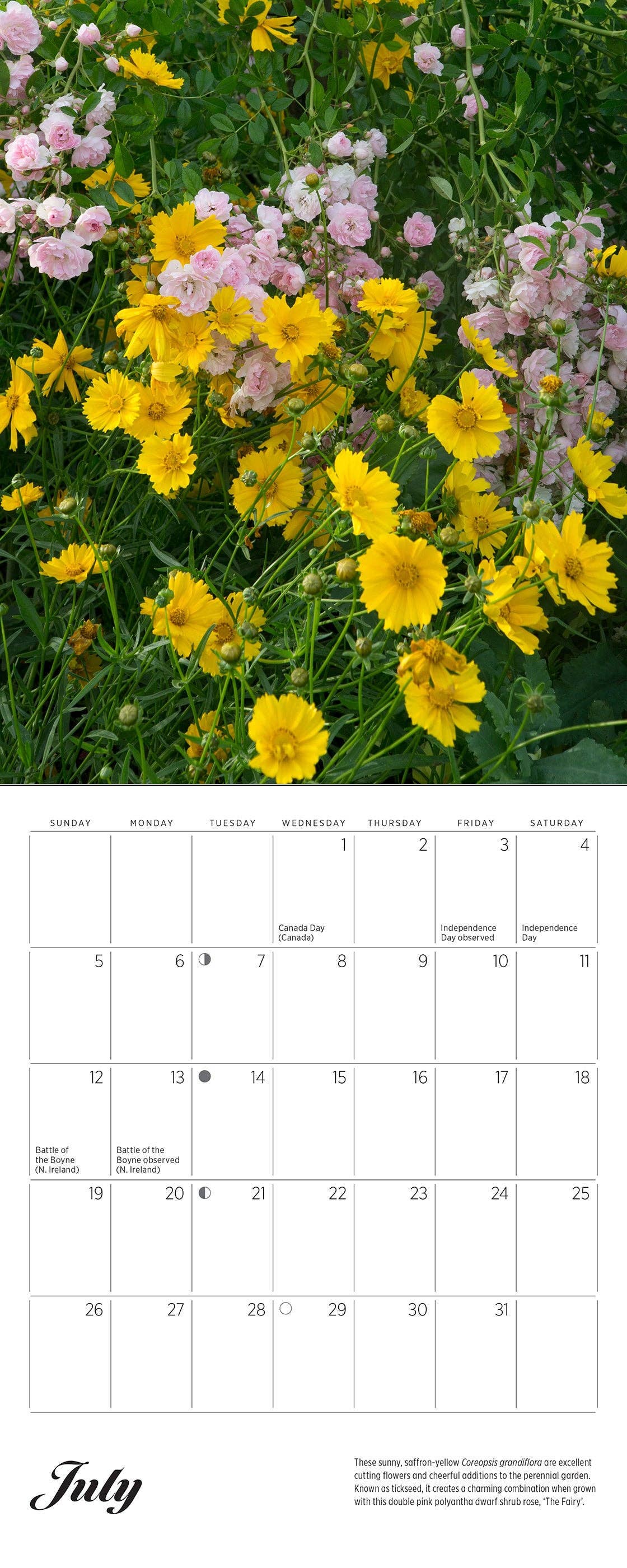 Pomegranate – wholesale Calendar – Monet’s Passion: The Gardens at Giverny 2026 Mini Wall Calendar2