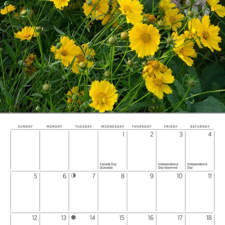 Pomegranate – wholesale Calendar – Monet’s Passion: The Gardens at Giverny 2026 Mini Wall Calendar2