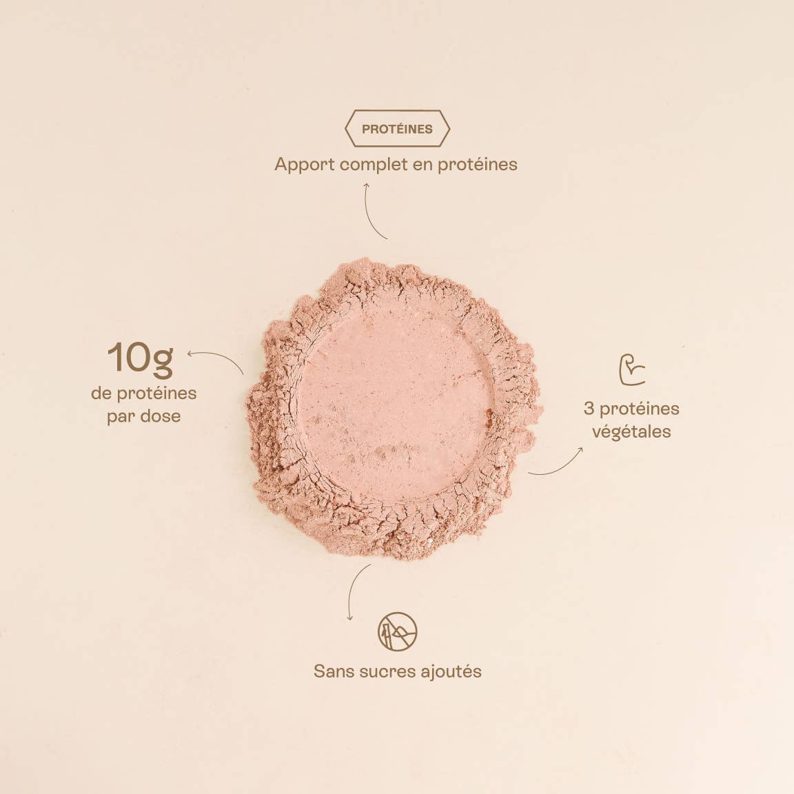 JOLLY MAMA - Wholesale Powdered Health Drink - Organic plant protein powder with cocoa and hazelnut flavor3