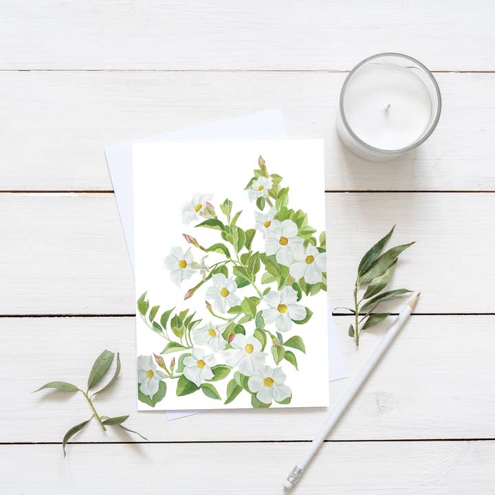 Mandevilla Plant Card for wholesale by Bobbi Lee Wilson Art Cards