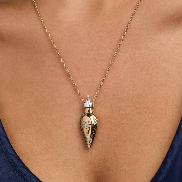 Alex and Ani - Wholesale Pendant/Charm Necklace - 'Written in the Stars' Potion Bottle Slider Necklace3