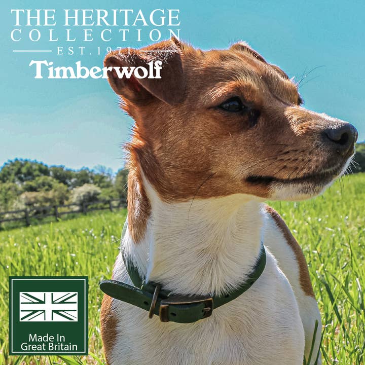 Ancol Pet Products Ltd - Wholesale Pet collar – Dog - Timberwolf Round Collar10